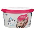 Mini-Gel-Glade-Frutos-Rojos-70Gr-2-20310