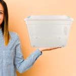 Caja-Organizadora-Mainstays-100L-4-21867