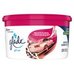 Mini-Gel-Glade-Frutos-Rojos-70Gr-1-20310