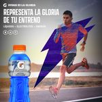 Bebida-Hidratante-Gatorade-Sabor-A-Berry-600ml-5-1528