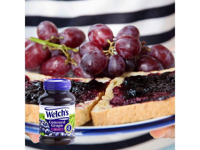 Jalea-Welchs-De-Uva-En-Frasco-510-29Gr-5-1829