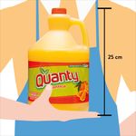 Jugo-Quanty-De-Naranja-1Galon-3785-ml-3-15356