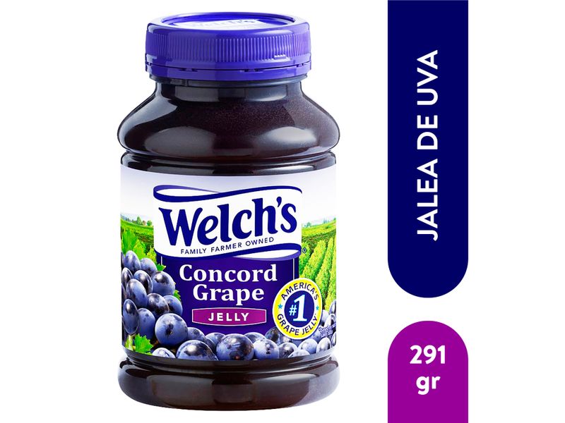 Jalea-Welchs-De-Uva-En-Frasco-510-29Gr-1-1829