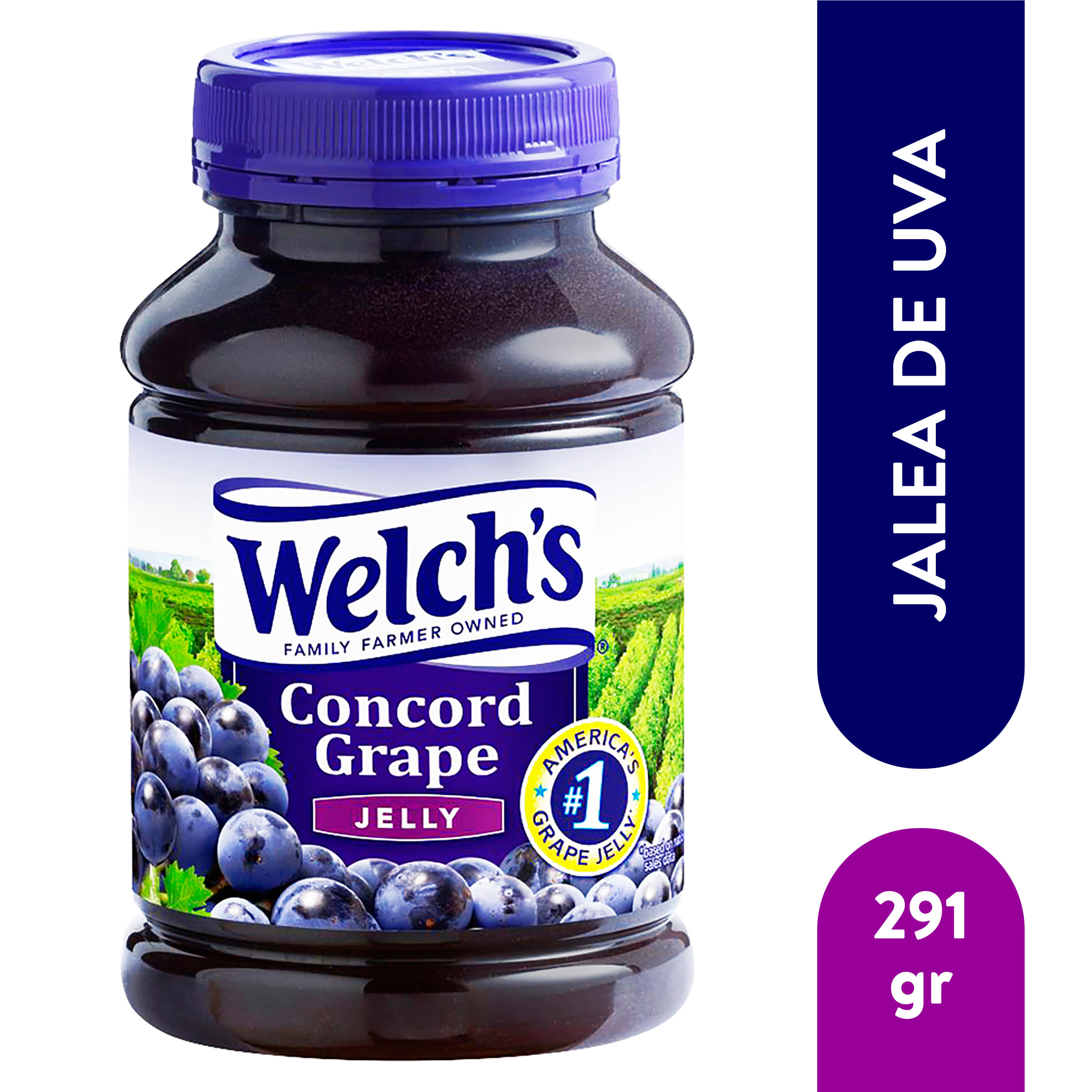 Jalea-Welchs-De-Uva-En-Frasco-510-29Gr-1-1829