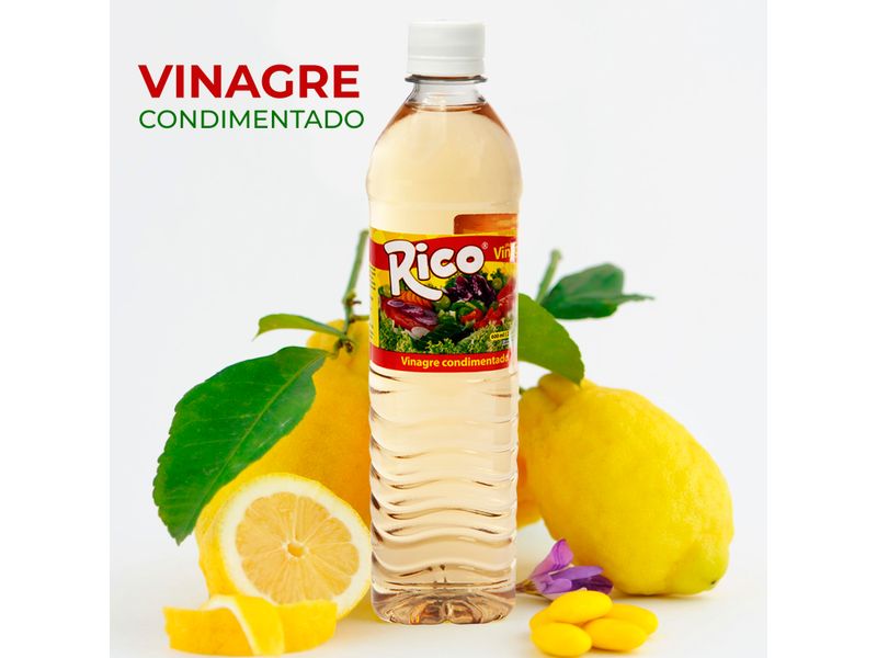 Vinagre-Rico-Condimentado-600Ml-4-8626