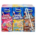 6-Pack-Maleteada-Sula-Surtida-200Ml-2-8648