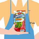 Ketchup-Campofresco-Doypack-400-Gramos-3-8870