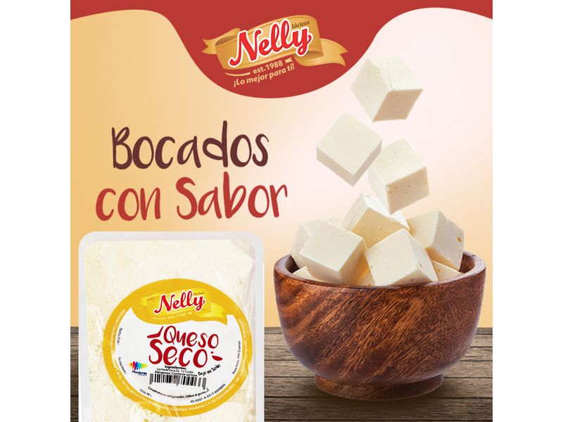 Queso-Nelly-Seco-Lacteos-440Gr-4-9532