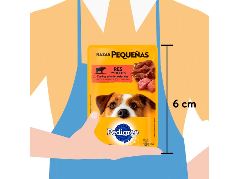 Alimento-Pedigree-Para-Razas-Peque-as-De-Res-En-Filete-100gr-3-3774