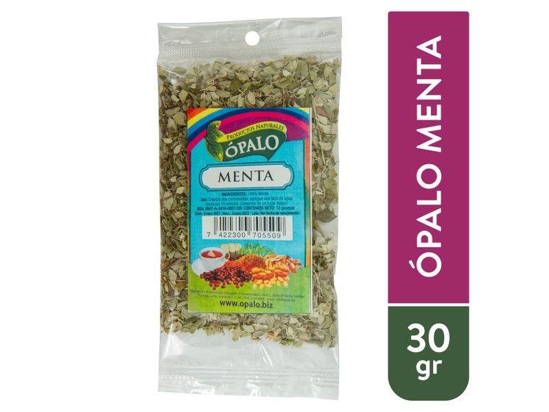 Menta-Opalo-Unidad-1-9363