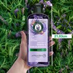 Shampoo-Herbal-Essences-Anti-Frizz-Lavanda-Aceite-de-Almendras-400-ml-10-27218