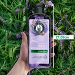 Shampoo-Herbal-Essences-Anti-Frizz-Lavanda-Aceite-de-Almendras-400-ml-10-27218