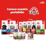 Alimento-Dogui-Perro-Adulto-Sabor-Pollo-18-Meses-En-Adelante-18Kg-7-19847