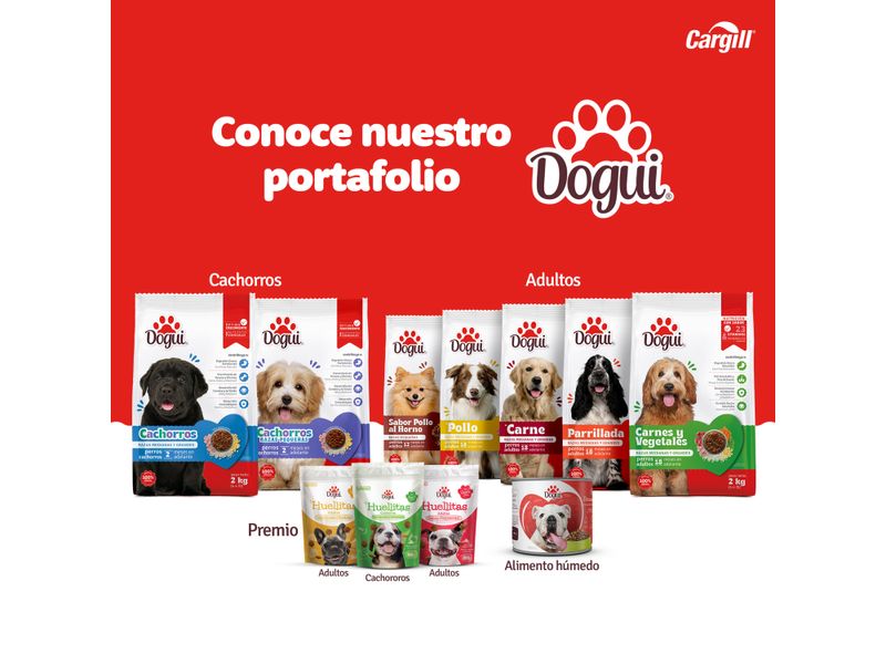 Alimento-Dogui-Perro-Adulto-Sabor-Pollo-18-Meses-En-Adelante-18Kg-7-19847