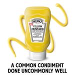 Mostaza-Heinz-Natural-Botella-566g-6-28717