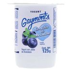 Yogurt-Gaymont-Arandano-Bisigna-125gr-Ml-1-34528