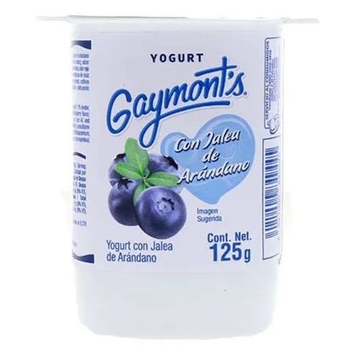 Yogurt Gaymont Arandano Bisigna 125gr Ml