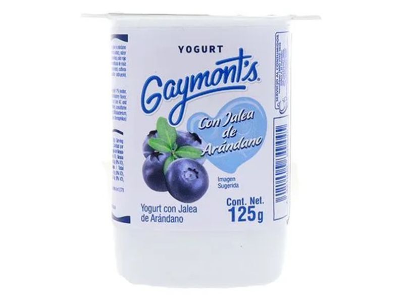 Yogurt-Gaymont-Arandano-Bisigna-125gr-Ml-1-34528