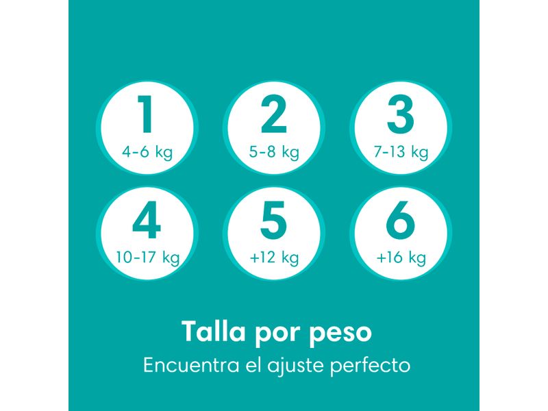 Pa-ales-Pampers-Baby-Dry-Talla-3-104-Uds-3-1616