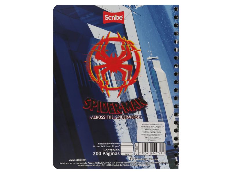 Pro-Edo-Spiderman-Movie-100h-24p-2-37207