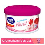 Aromatizante-Gel-Great-Value-Floral-70gr-1-12240