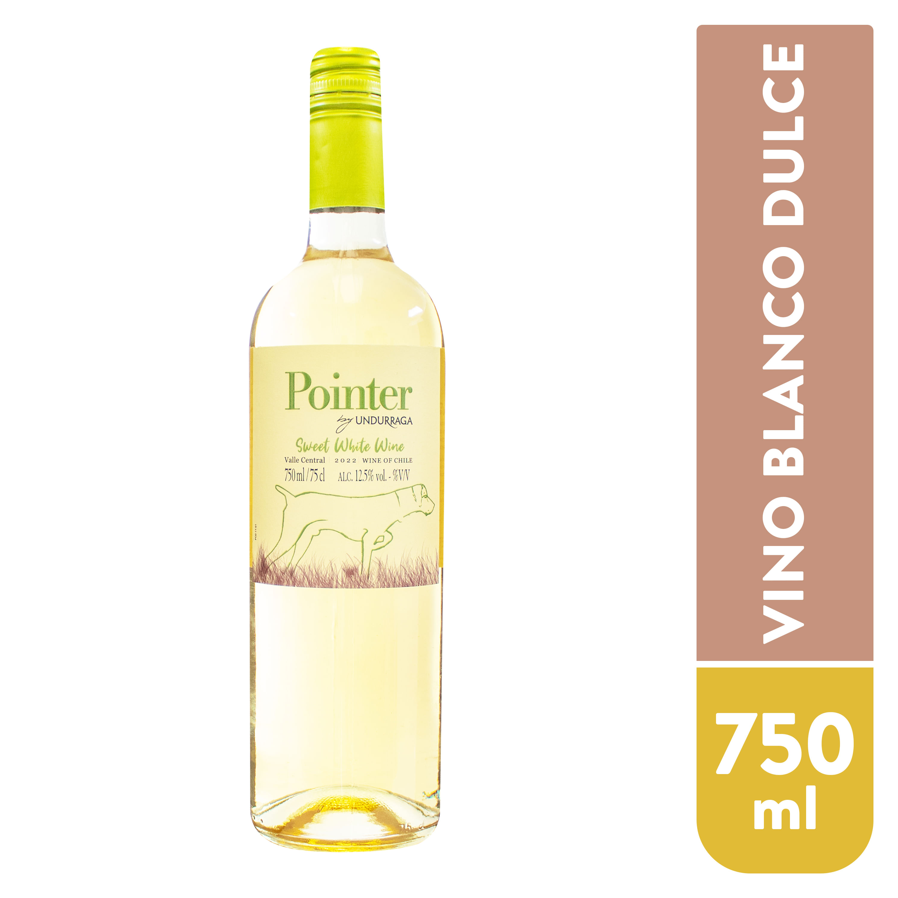 Vino-Pointer-Sweet-White-Undurraga-Cabernet-Sauvignon-750ml-1-29589