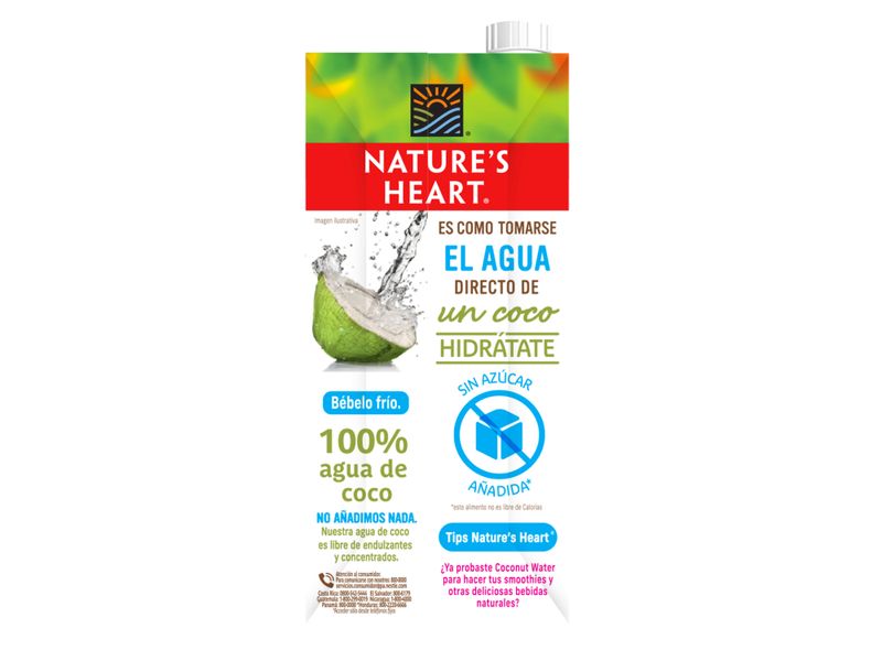 Bebida-agua-de-coco-Natures-Heart-tetrapack-1L-2-32149