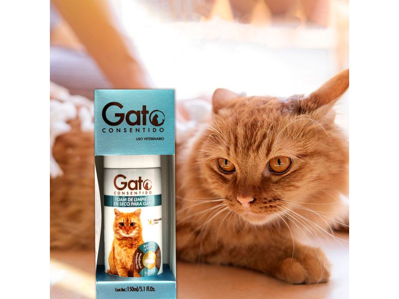 Shampoo-En-Seco-Gato-Consentido-150ml-5-35559