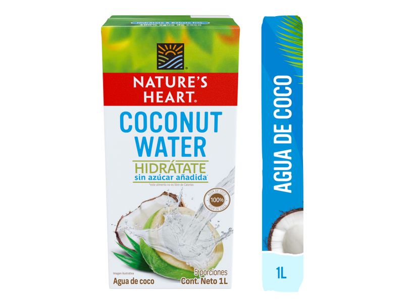 Bebida-agua-de-coco-Natures-Heart-tetrapack-1L-1-32149