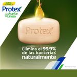 Jabon-Corporal-Protex-Fresh-110-g-6-Pack-4-12699