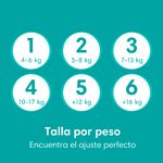 Pa-ales-Pampers-Baby-Dry-Talla-6-14kg-96Uds-3-1623