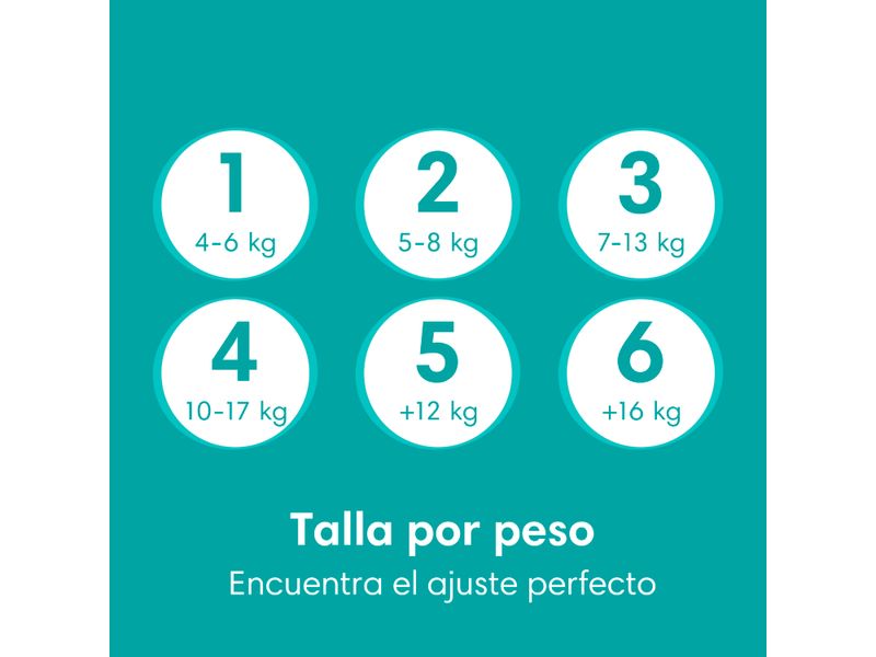 Pa-ales-Pampers-Baby-Dry-Talla-6-14kg-96Uds-3-1623