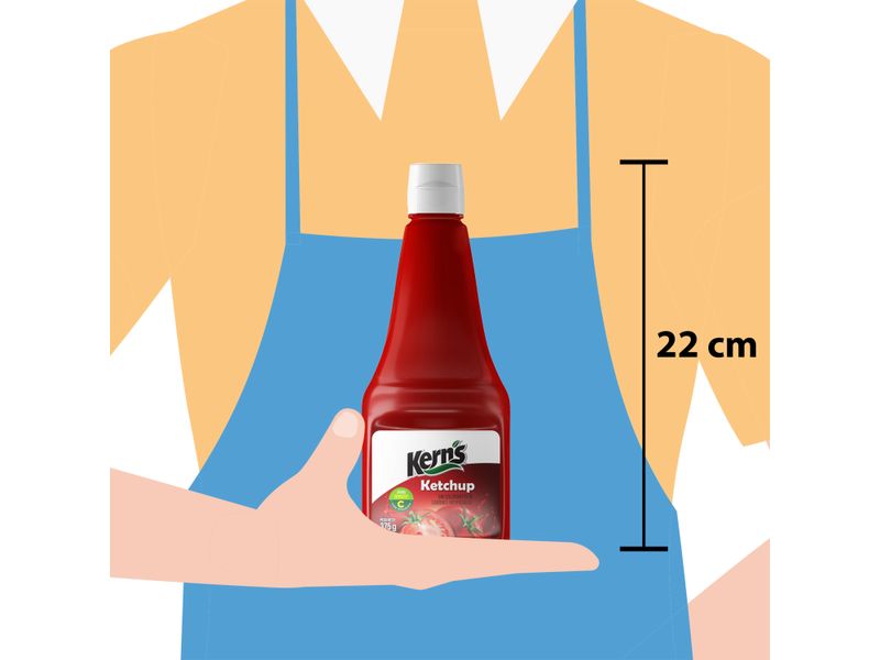 Ketchup-Kerns-Pet-375gr-4-29380