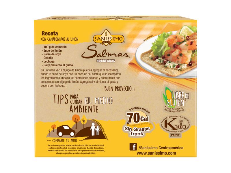 Galleta-De-Maiz-Sanissimo-Salmas-144gr-2-3619