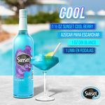 Vino-Sunset-Cool-Berry-750-ml-5-3955