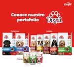 Alimento-Dogui-Perro-Adulto-Sabor-Pollo-Carne-Y-Vegetales-18-Meses-En-Adelante-4kg-6-3919