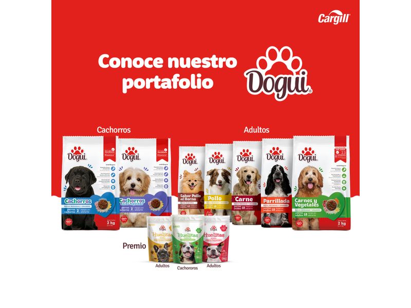 Alimento-Dogui-Perro-Adulto-Sabor-Pollo-Carne-Y-Vegetales-18-Meses-En-Adelante-4kg-6-3919