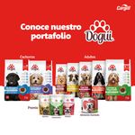 Alimento-Dogui-Perro-Adulto-Sabor-Pollo-Carne-Y-Vegetales-18-Meses-En-Adelante-2kg-6-3926