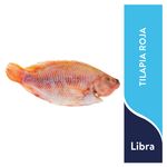 Tilapia-Roja-Mym-Congelado-Grande-Lb-1-5851