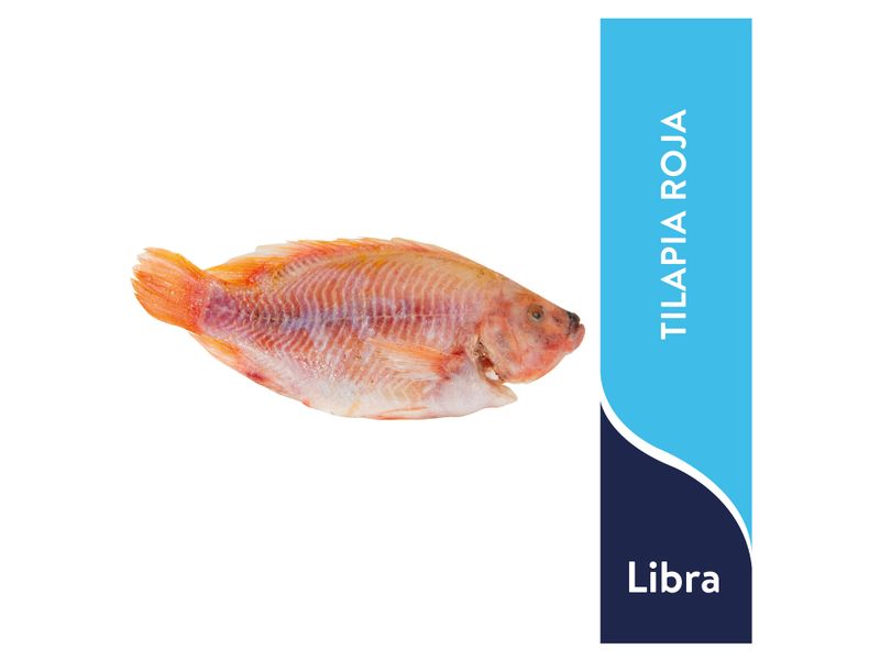 Tilapia-Roja-Mym-Congelado-Grande-Lb-1-5851