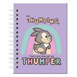 Cuad-Pd-Peq-150h-5-Mat-Tambor-Disney-1-36890