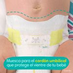 Pa-ales-Pampers-Preemie-Swaddlers-Talla-P-1-2-7kg-27Uds-7-1624