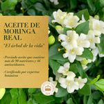 GTIN-7500435143783-05