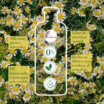 GTIN-0381519180743-04