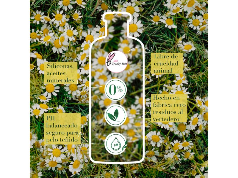 GTIN-0381519180743-04