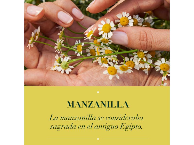 GTIN-0381519180743-06