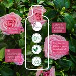 GTIN-0381519180767-04