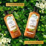 GTIN-7500435143783-08