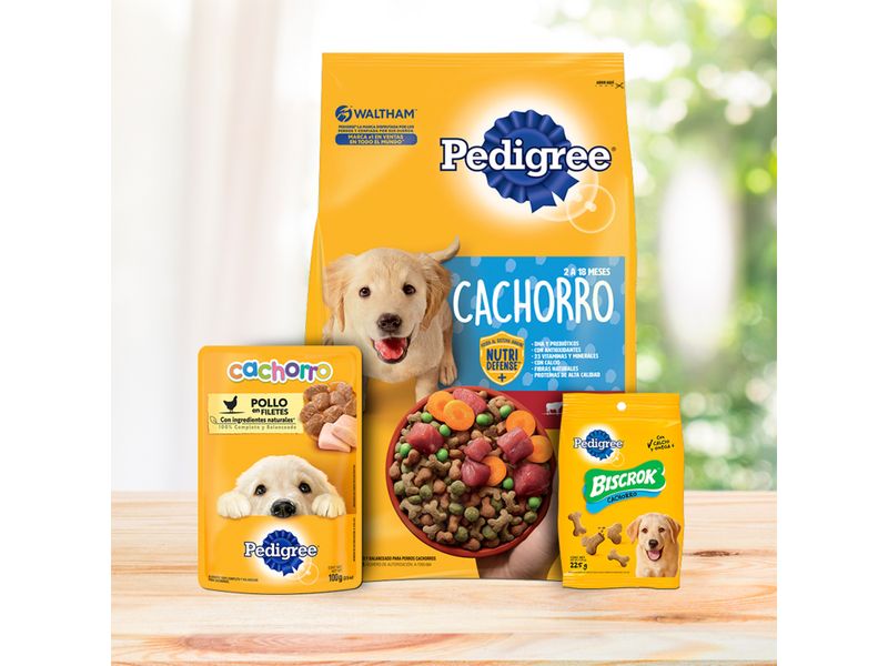 Comida-Perro-Pedigree-Cachorro-2-Kgs-7-1274