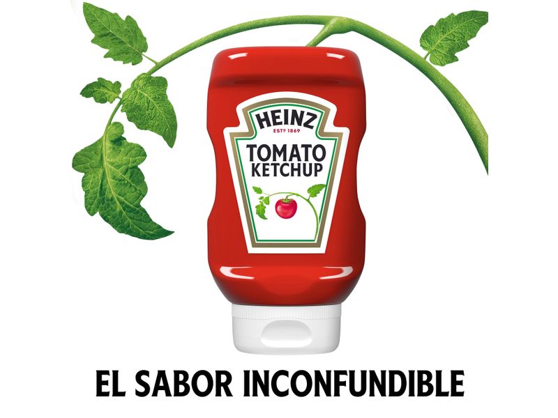 Ketchup-Heinz-907-Gr-2-16034